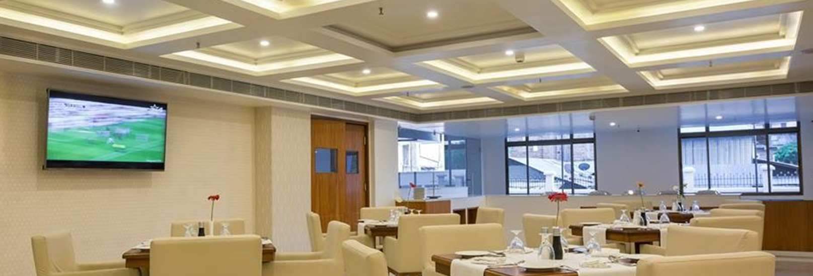 Everything You Need to Know